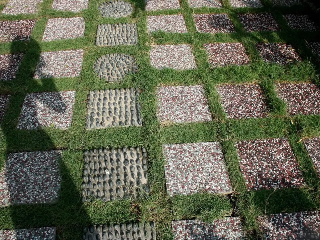 The Fate of Reused Car Tires: An Examination