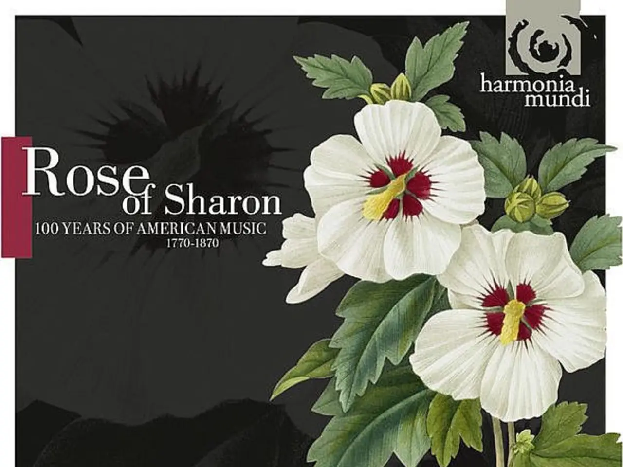 Japanese Flower Symbolism: An Overview of Hanakotoba