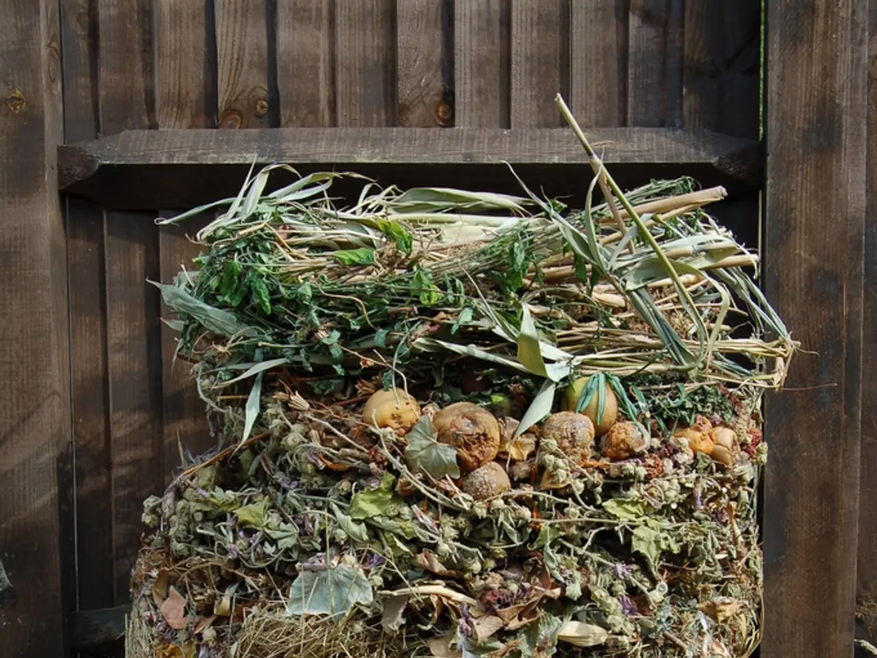 Construction of three waste sorting facilities set in YANAA pending approval