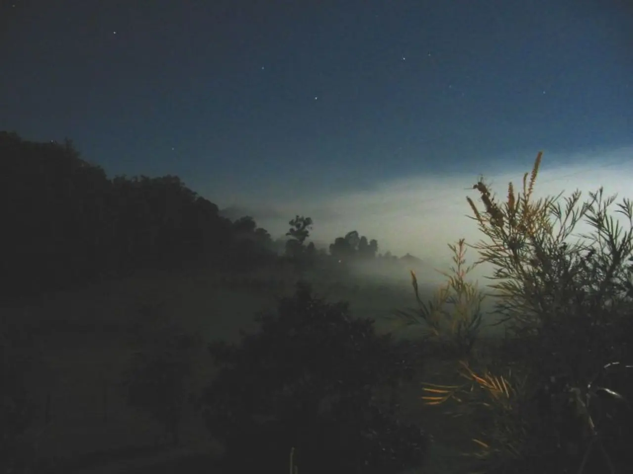 Summer's Twilight Announced by Suhail Star