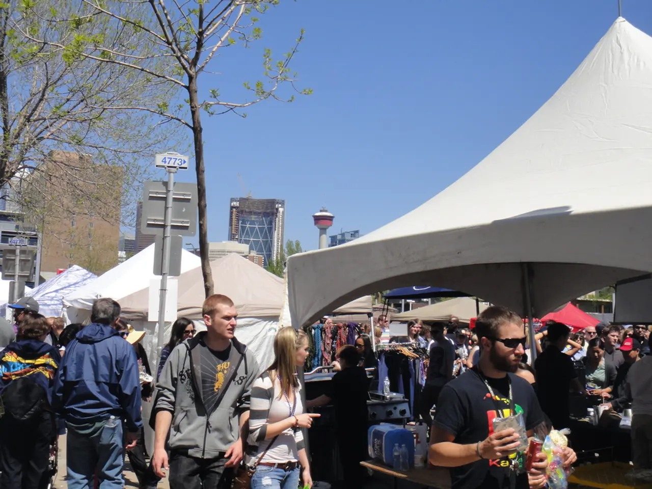 Government Spending Altering Private Investment: The Crowding Out Phenomenon Explained