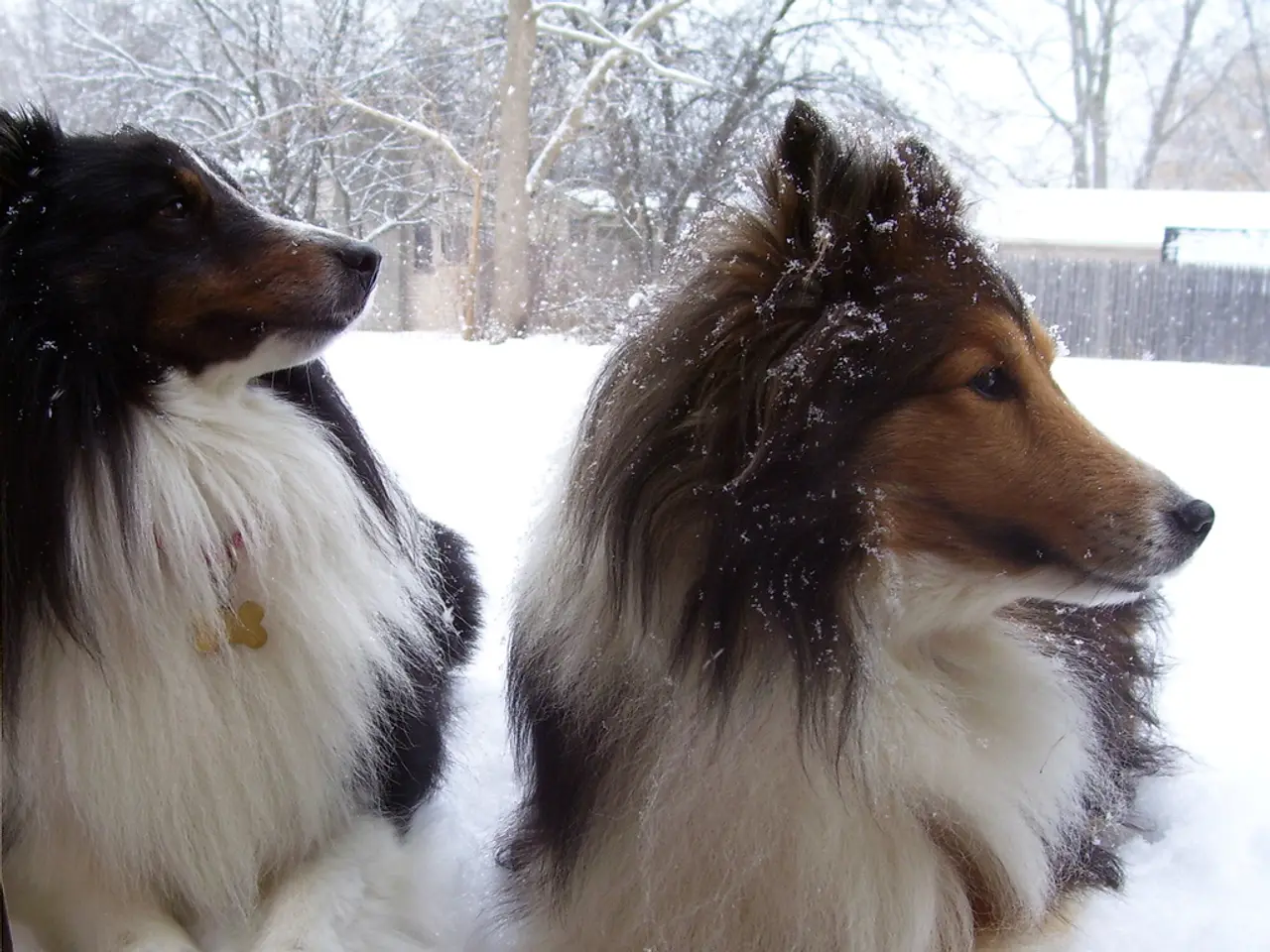 New Series Alert: Disclosure on Release Date, Trailer, Main Cast, and Insights for "The Hunting...