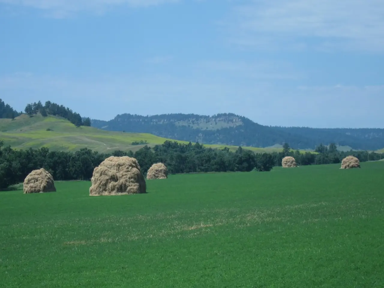 Participants and jurors selected the top photos in the "Environment&Me 2025" photography contest