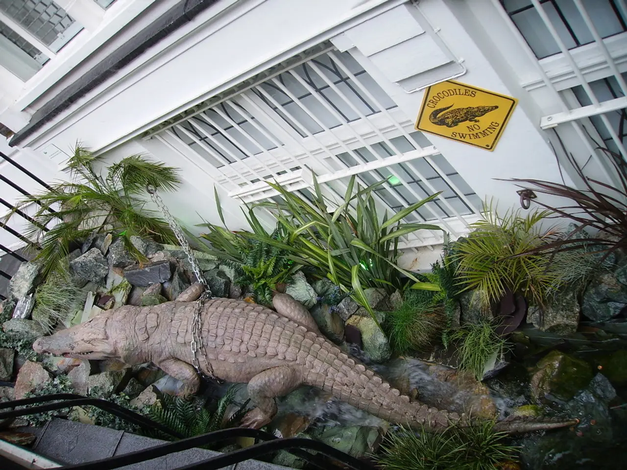 UAE and Cyprus reiterate their dedication to aiding Gazan residents through the Amalthea...