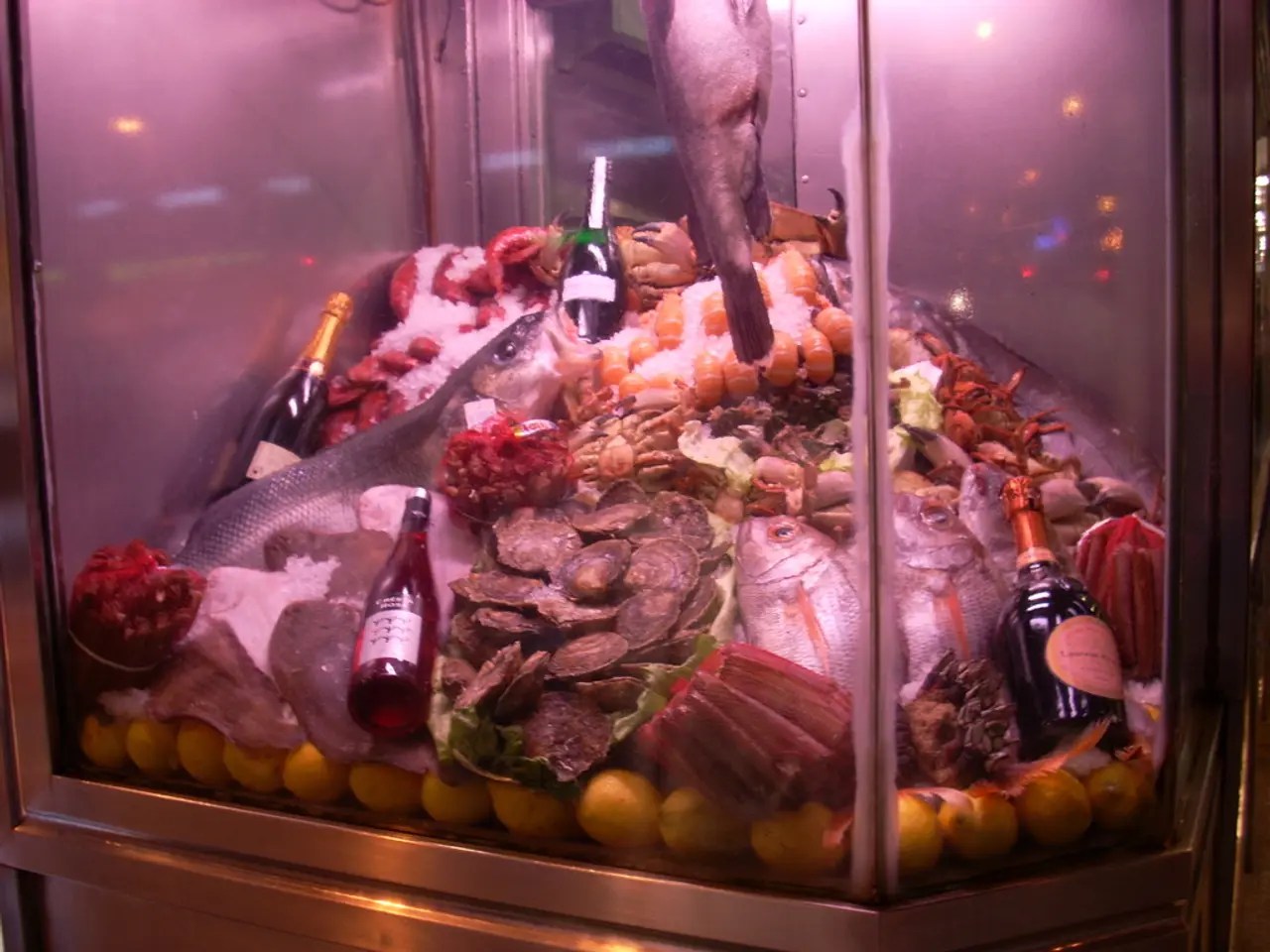 Shark Tank Update: A Peek into the Journey of Stealth Bros & Co - Comfortable Insights Revealed