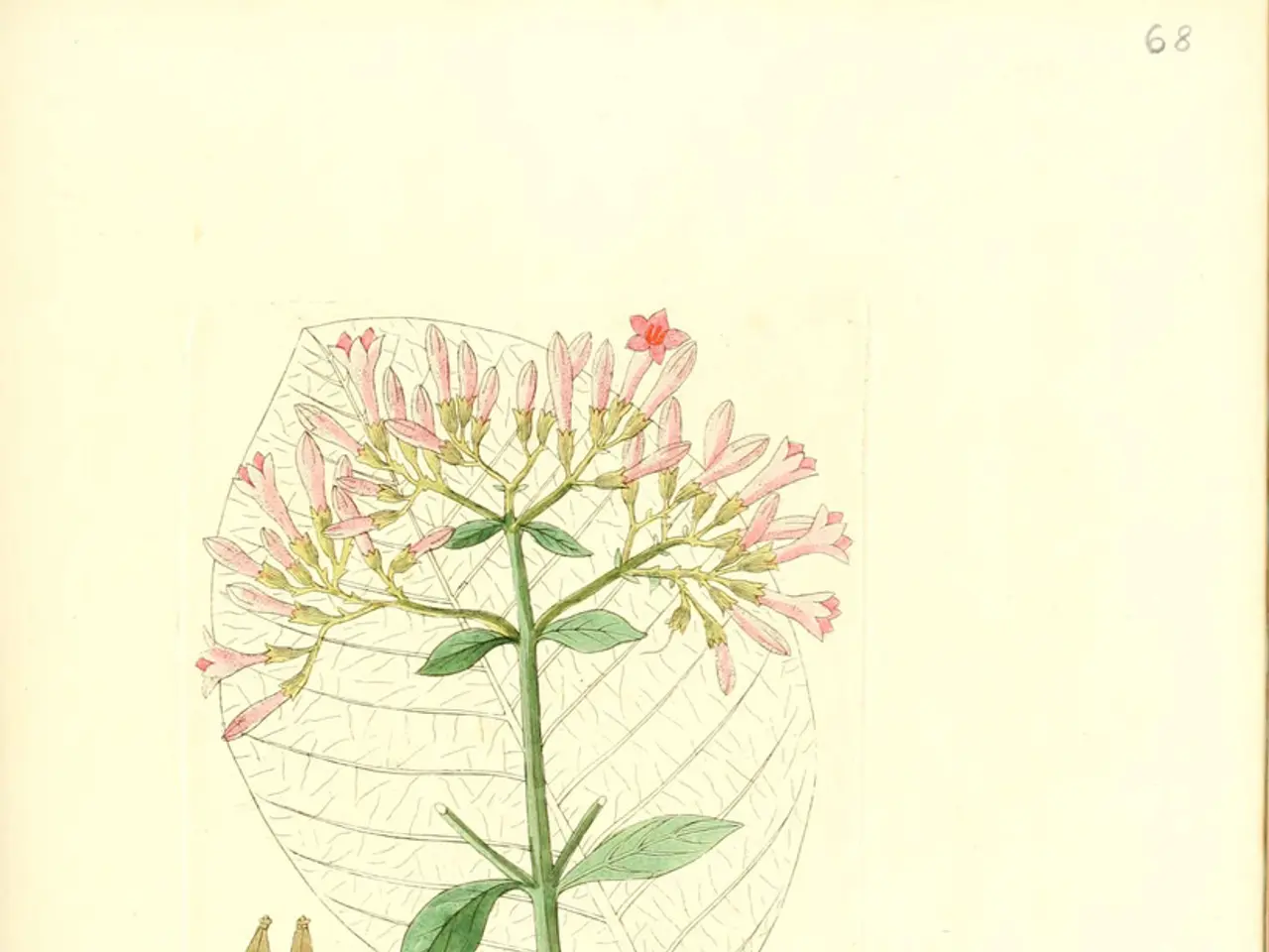 Locating a needle within a mountain of straw