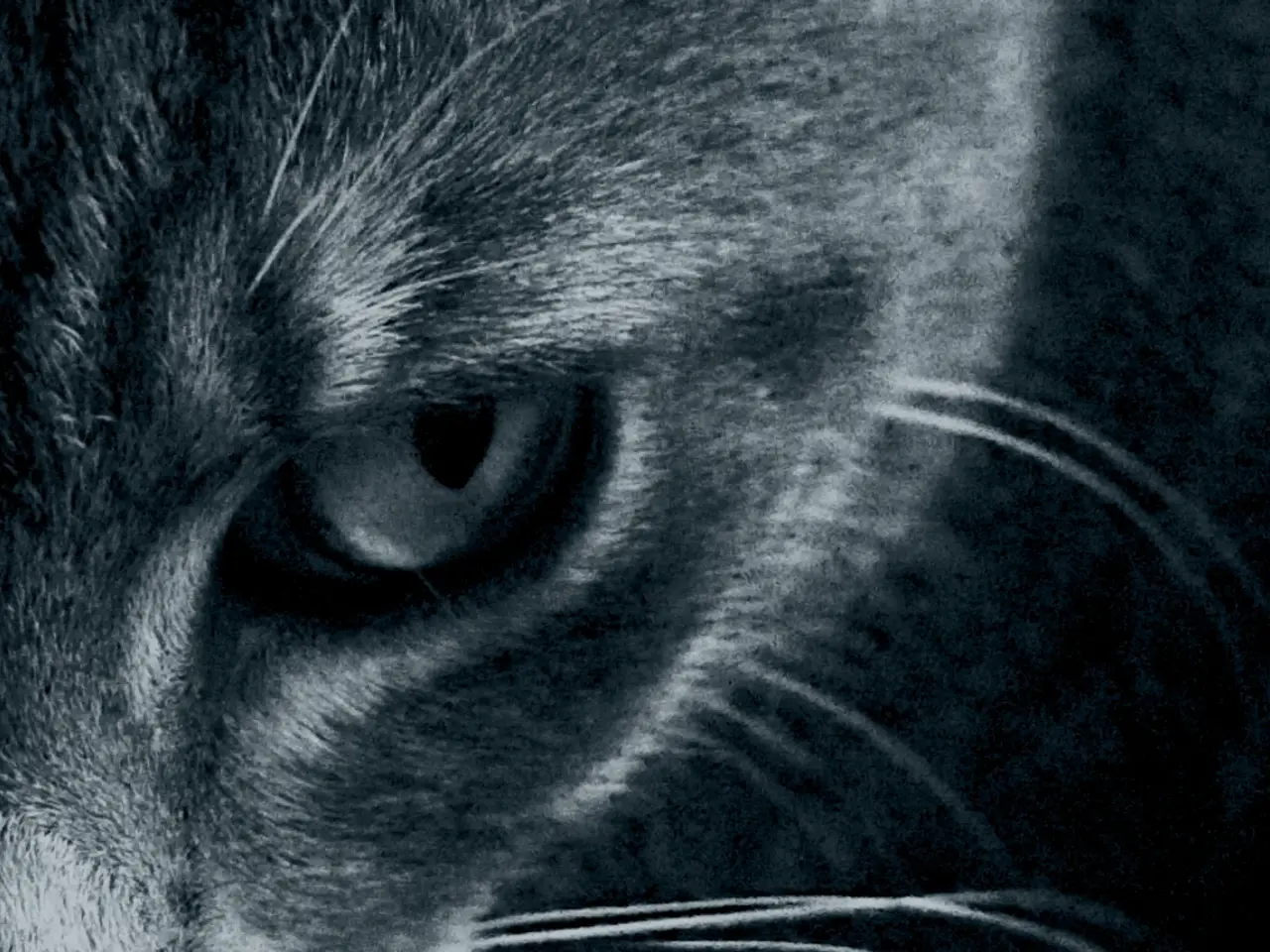 Improved Gadget Sets Sight on Accelerating Eye-Saving Treatments