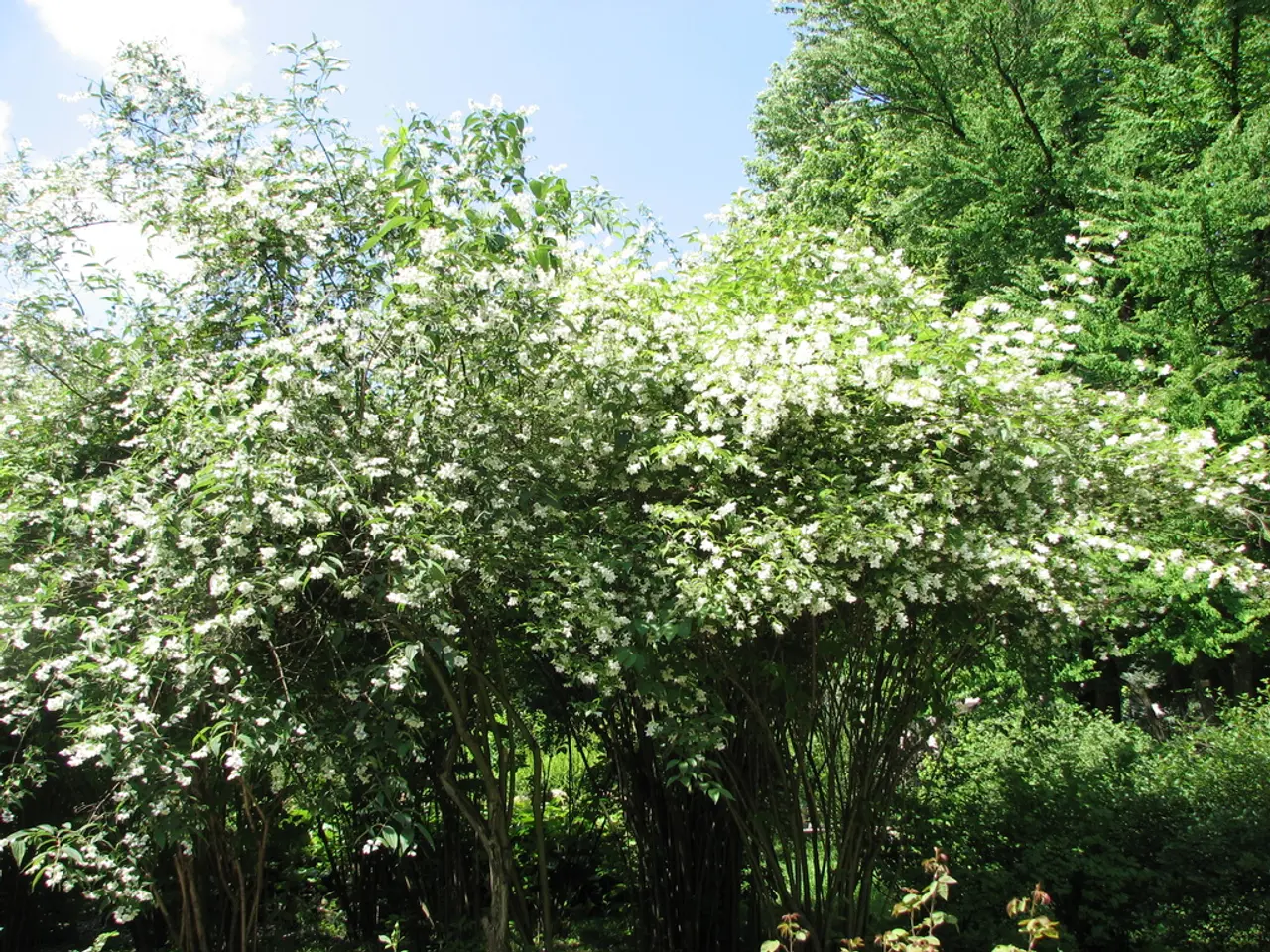 Sunday (31) in Araçuaí is forecast for cloudy weather