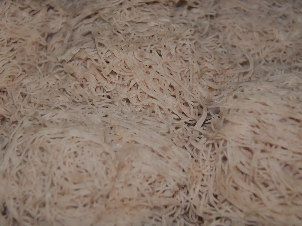 Cozy 30-Minute Pasta Dish with Bowtie Noodles and Rich Velveeta Beef Sauce Offers Ultimate Comfort