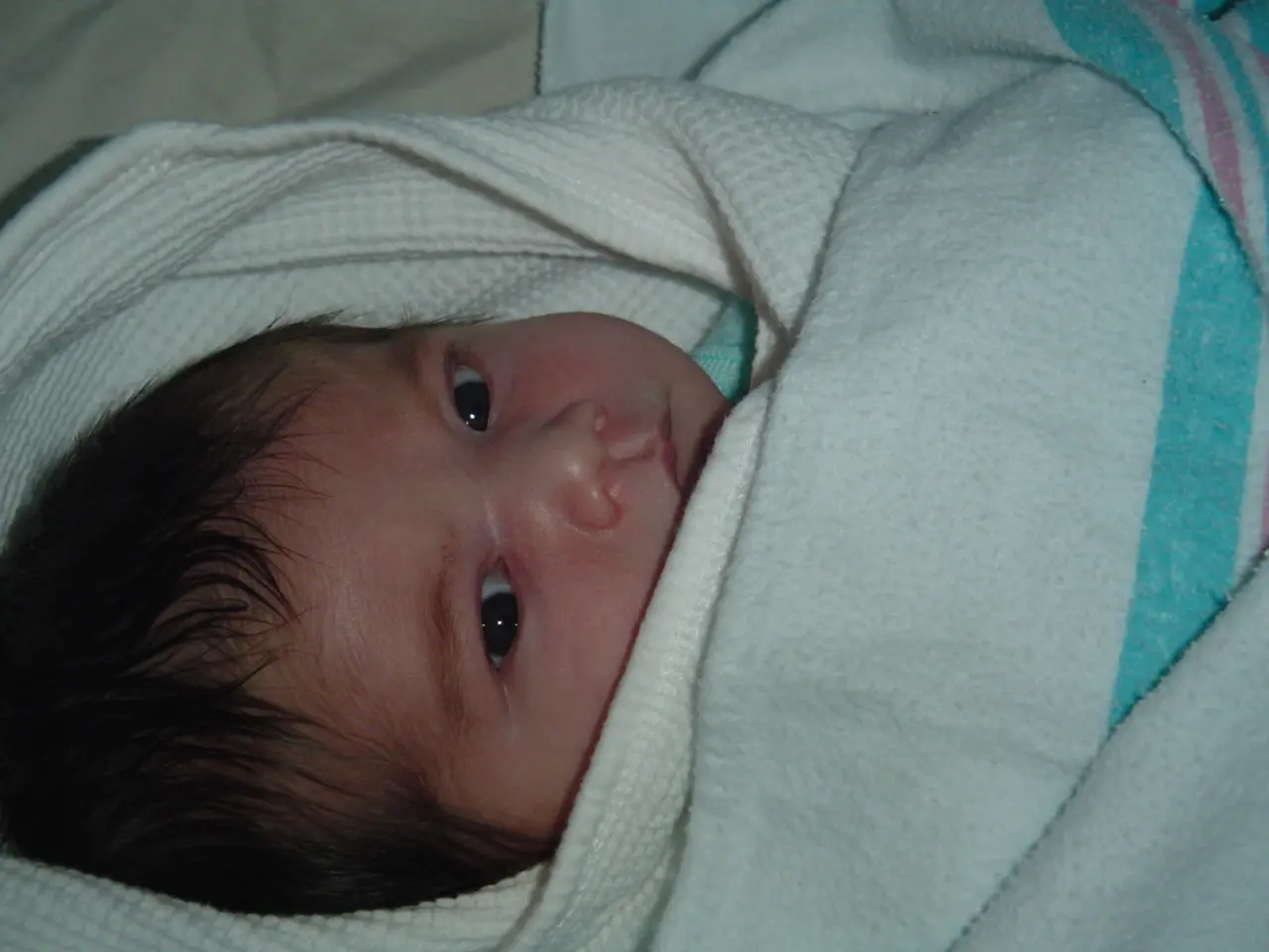 Secure Attachment: Its Four Key Components