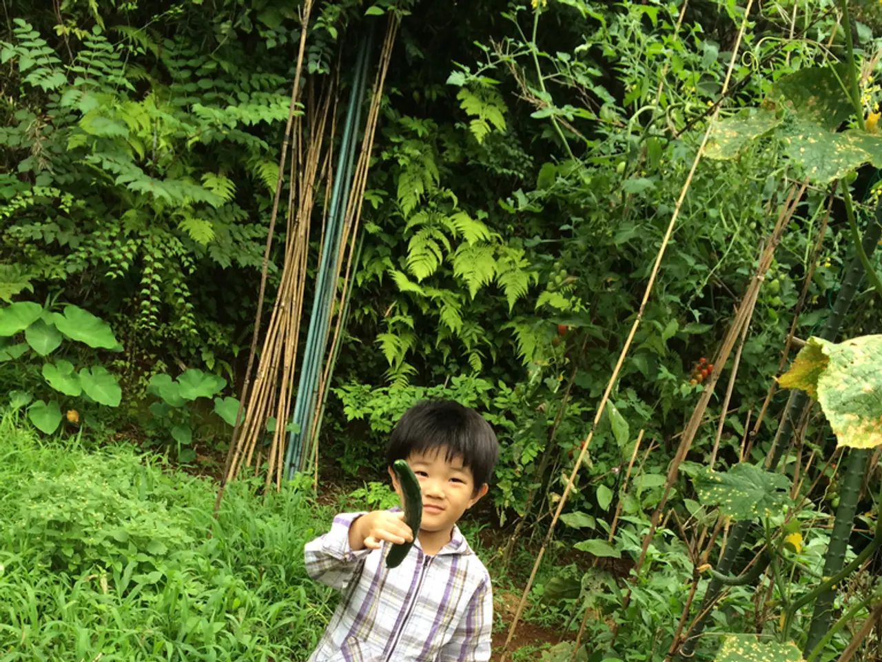 Cucumber's Bitter Taste: Causes and Ways to Prevent Its Development