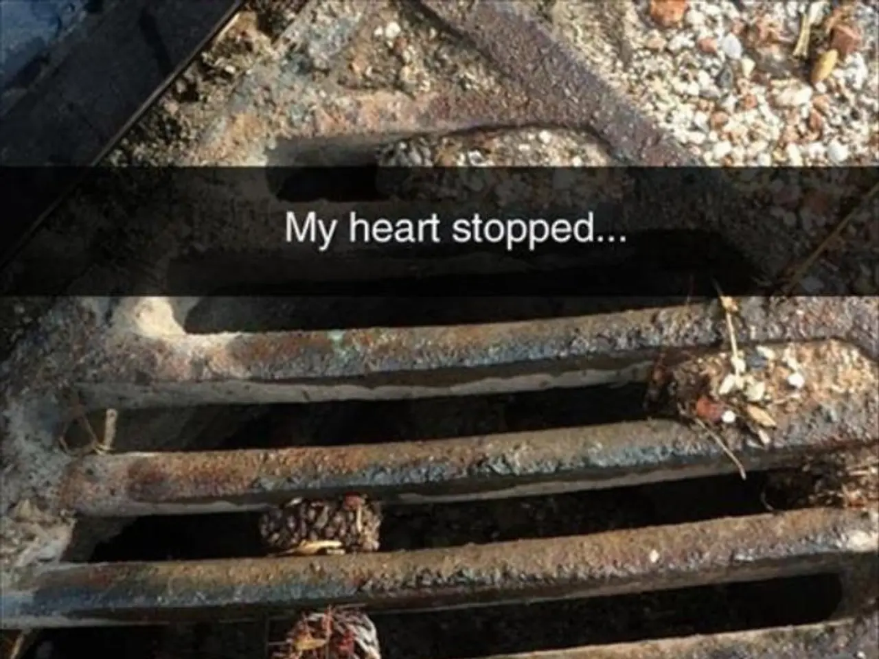 Construction site robbery: Plate shaker goes missing