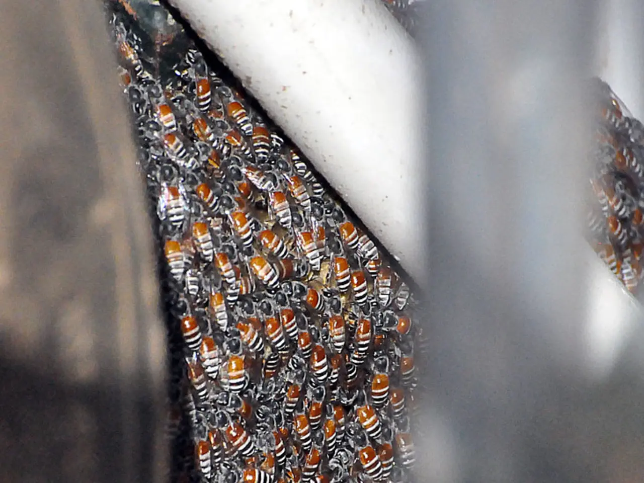 Queen Camilla herself describes it as a challenging conflict.