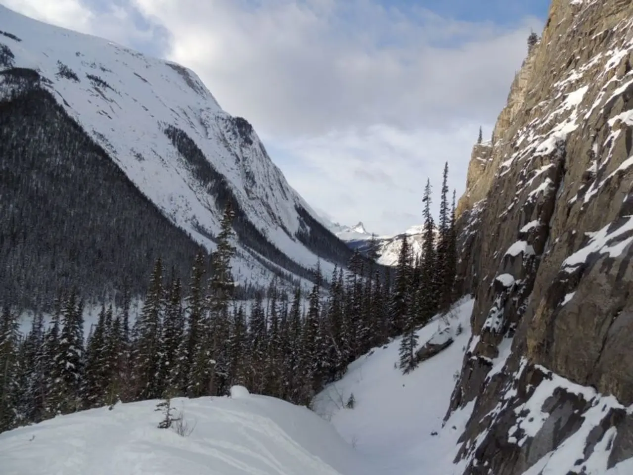 Solar alert issued: Potential cannibal solar storm approaching may trigger Labor Day northern...