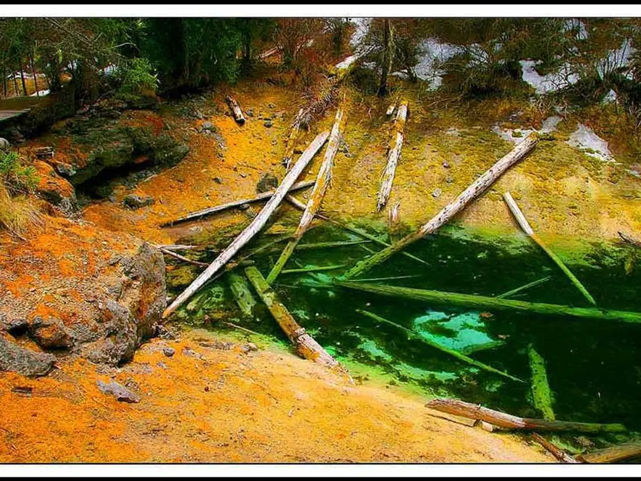 Maximizing Profit from Your Timber Harvesting