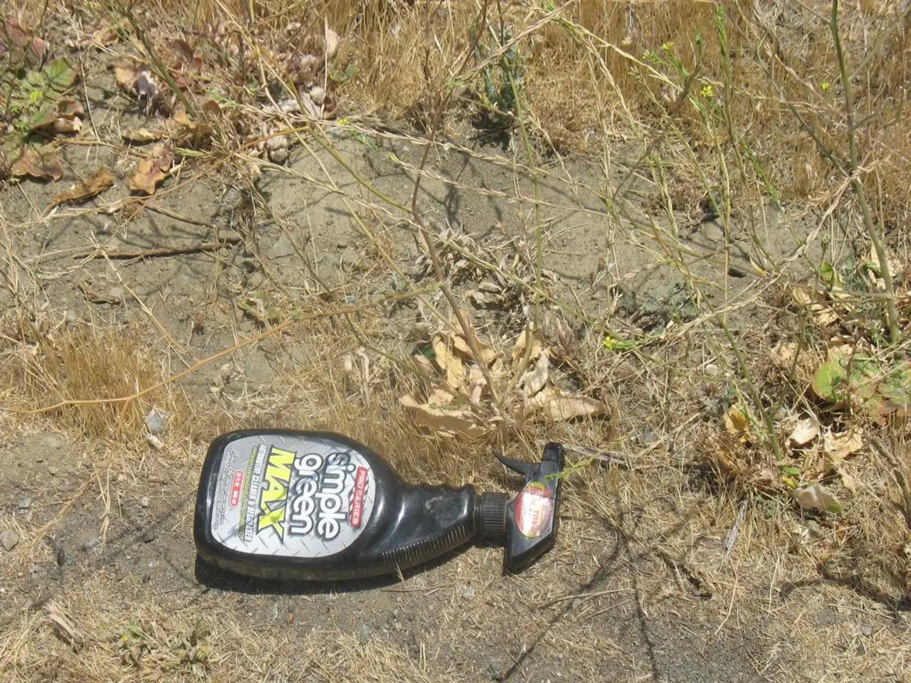 Countries continue to import Russian goods, defying international sanctions