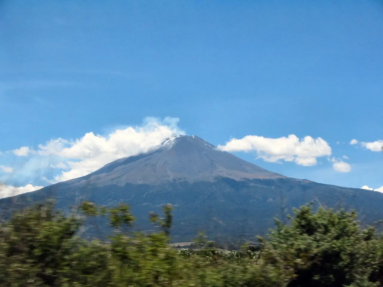 Vegetation barrier installed on walls to prevent the spread of unwanted flora
