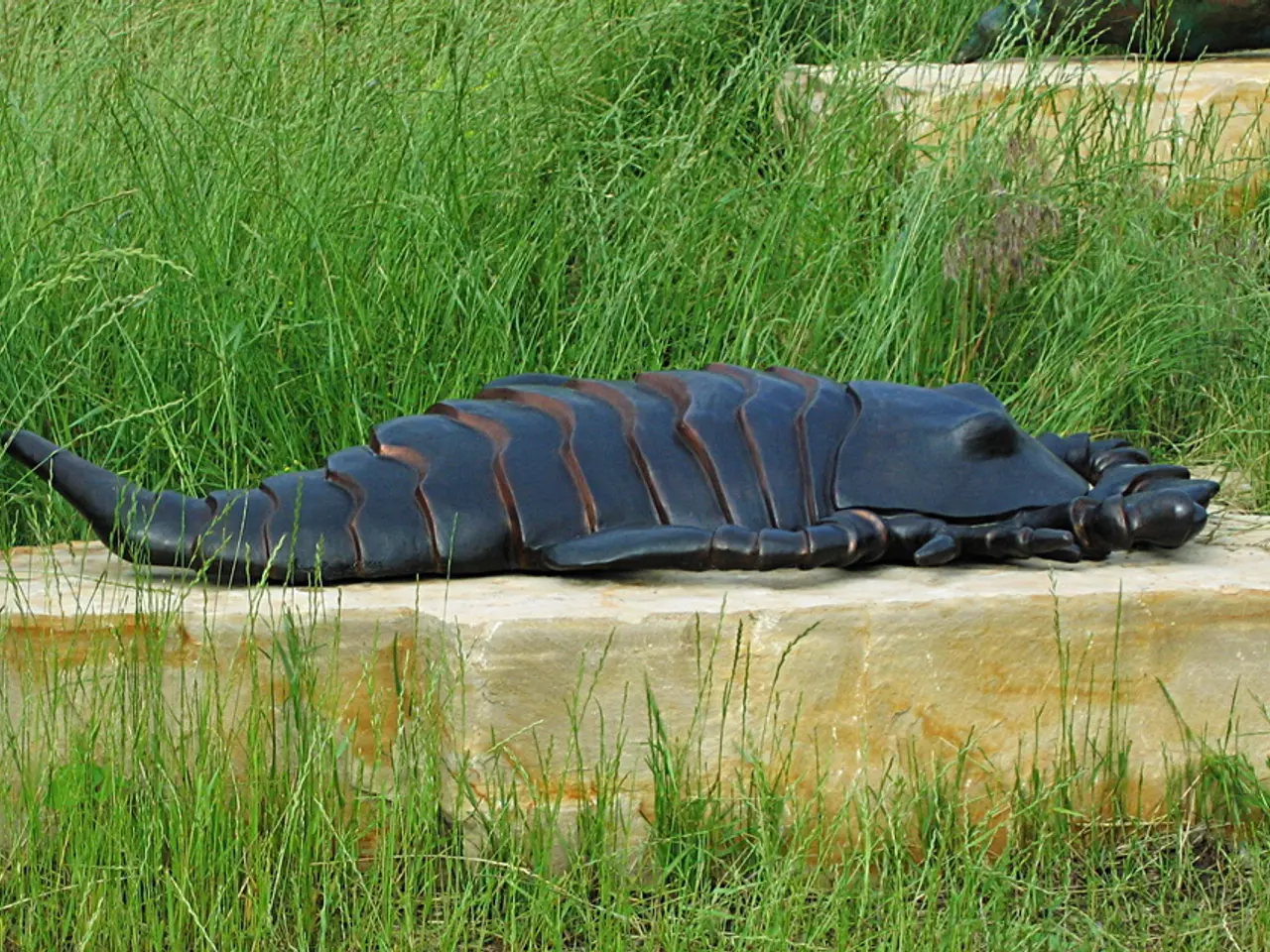 Gold Rush at Olympus: Unveiling Golden Wilds and Connected Bonus Wins