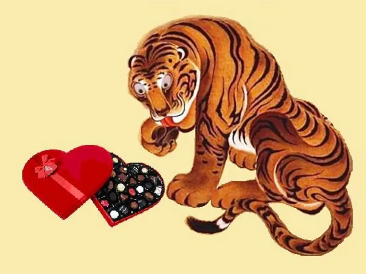 Competition Information