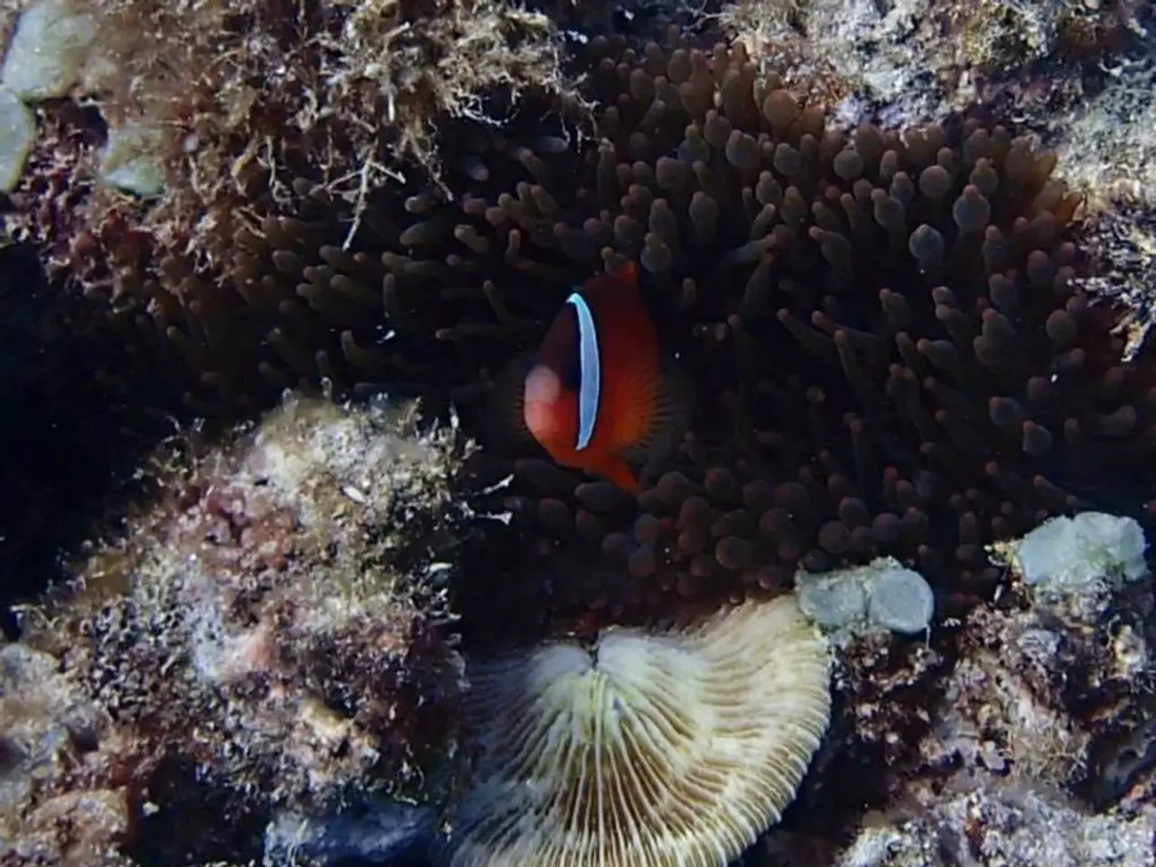 Observe: Researchers innovatively tackle a stubborn predicament.