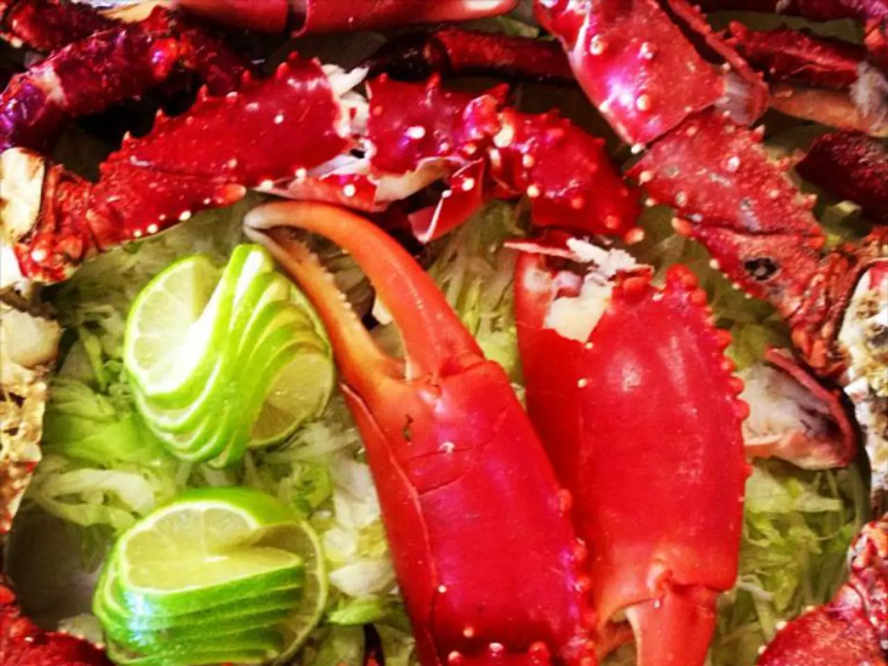 Addressing Inconsistencies in TikTok Search Functionality: Faulty Filters, Inoperable Search or...