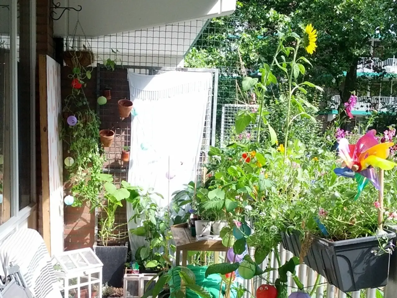 Residence of Jewelry Designer Andrés Gallardo, a Showcase of Unique Creation