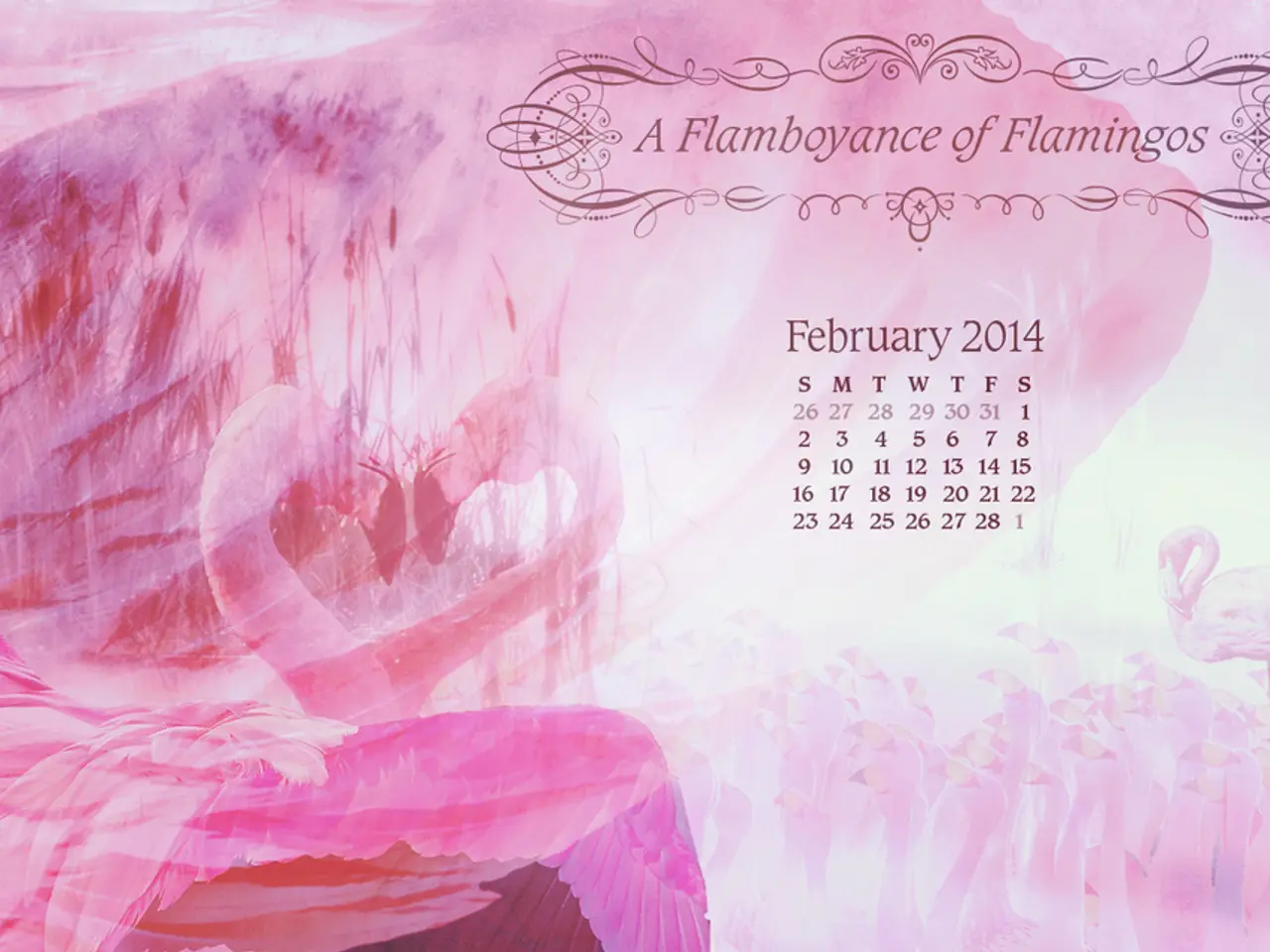 Thursdays starlight spectacle explained.