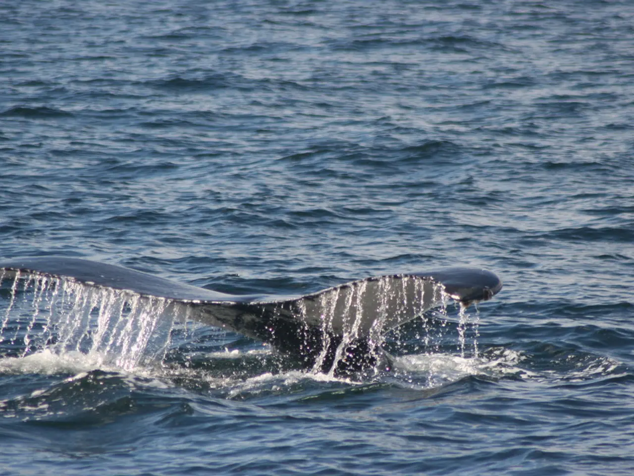 Ether's storage reaches a historic high, approaching a potential all-time high?