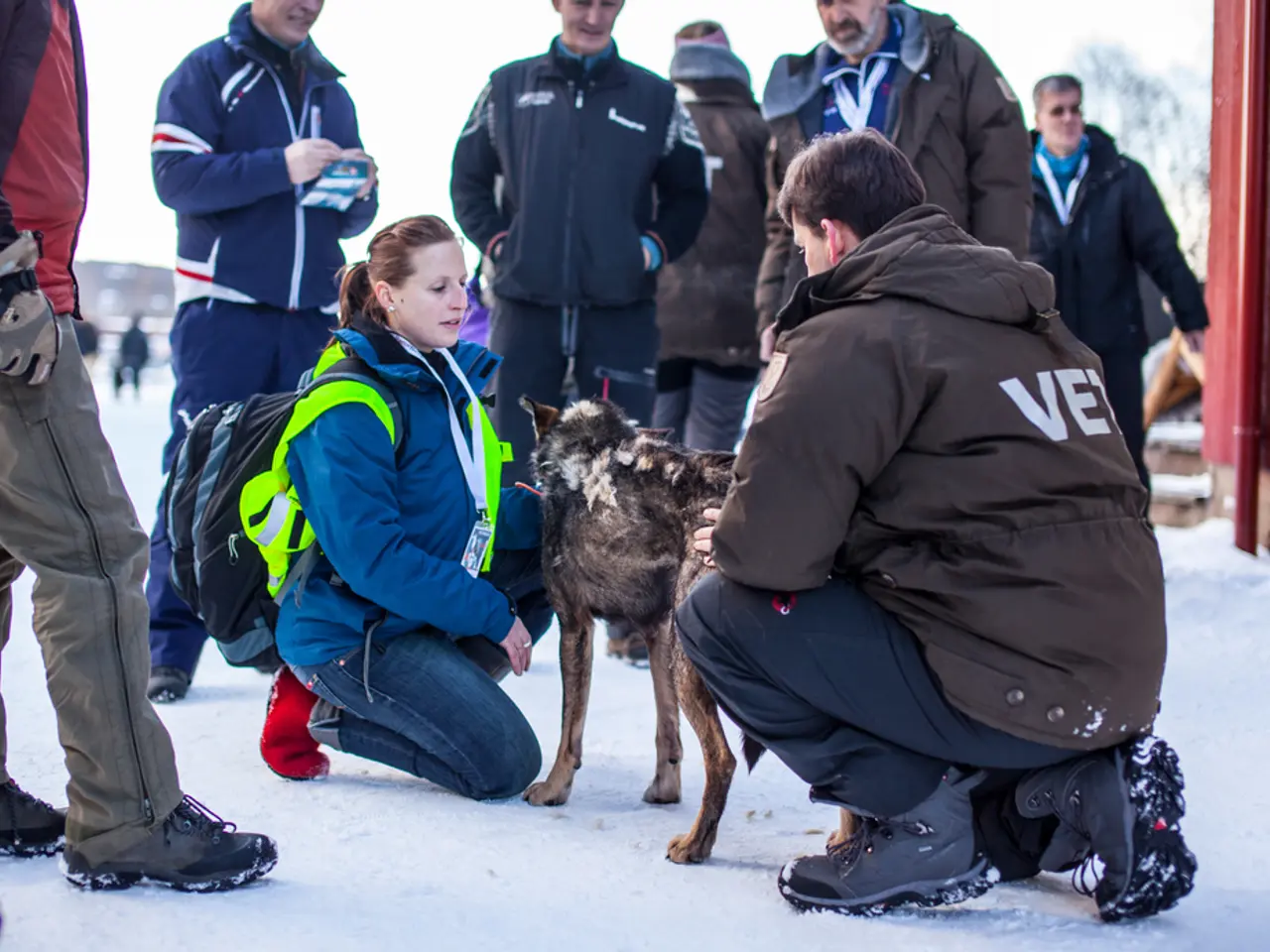 Uncertainty looms over new academic year for families with mixed immigration status, as fear of...