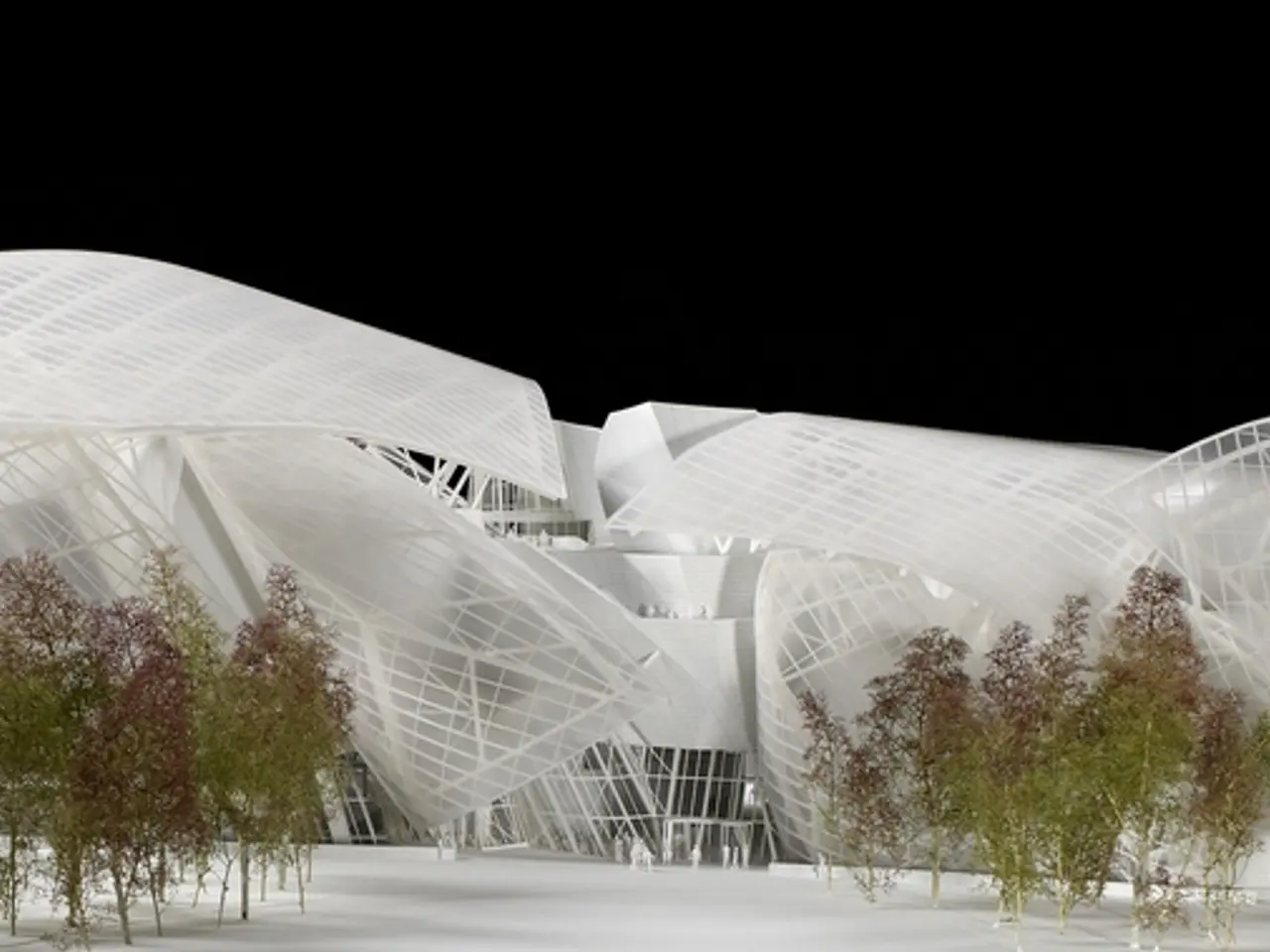 Determination of the Age of the Unlawfully Dismantled Robin Hood Tree Revealed