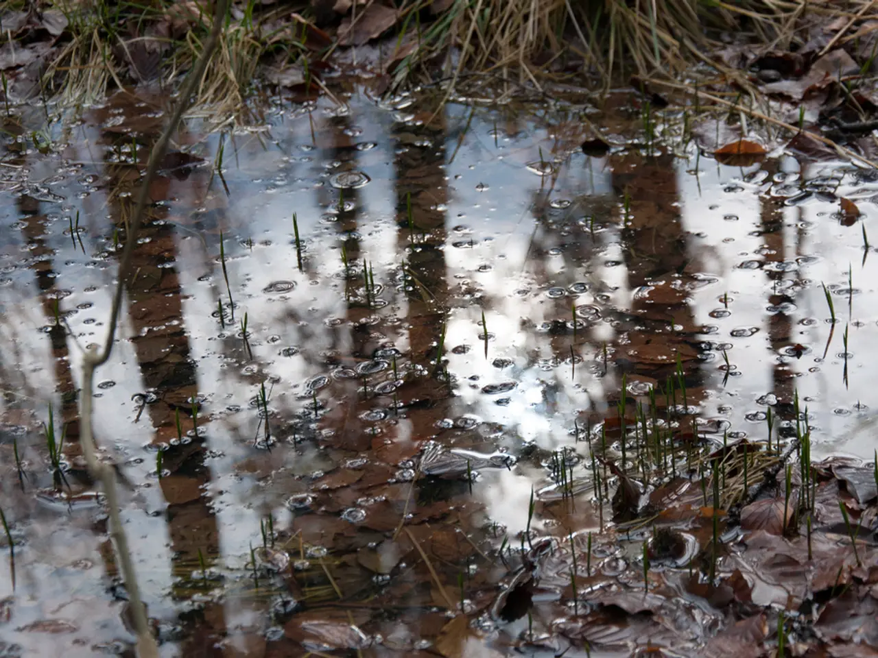 Netherlands incidents prompt Commission to propose worker radiation protection directive