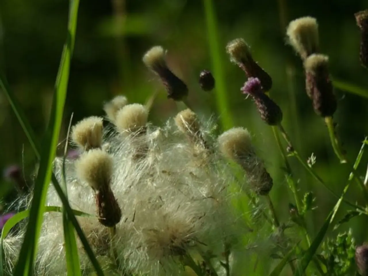 Farmer Successfully Contests Court: Obligation to Contribute Towards Solar Panel Installations...