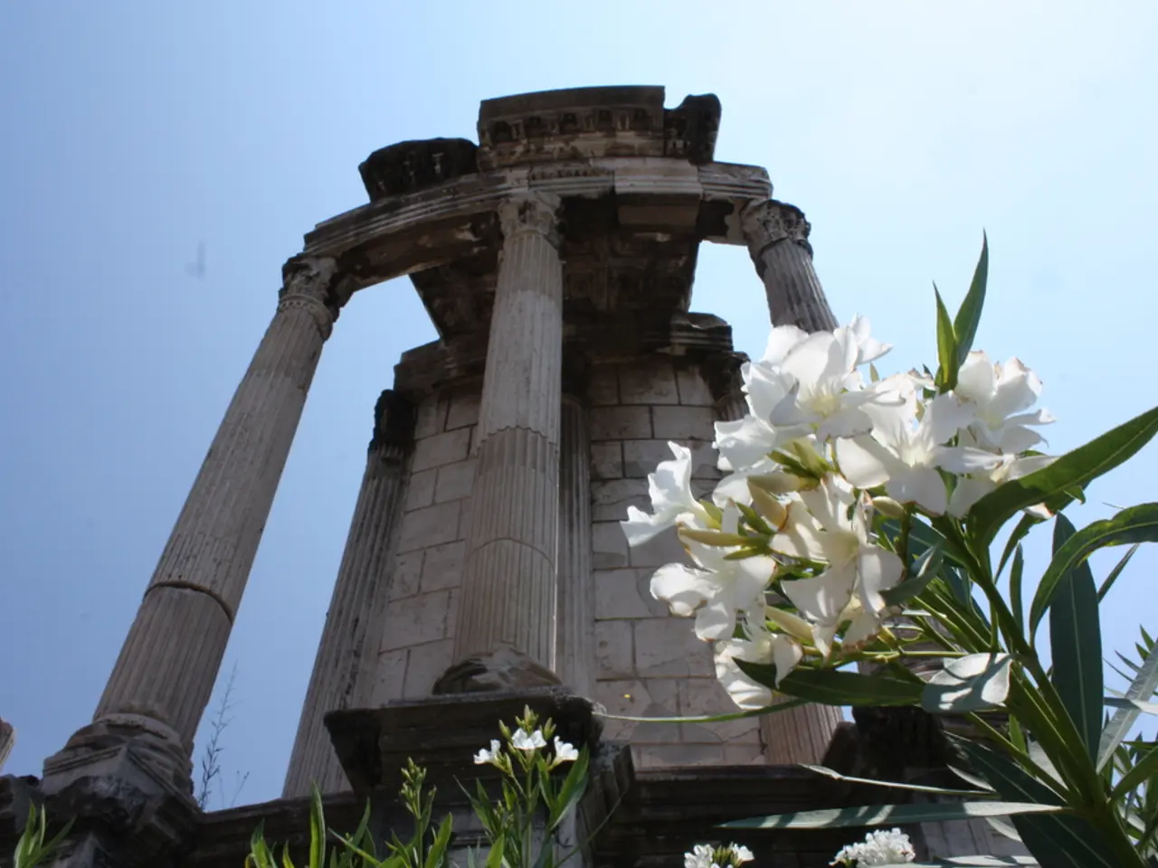 Explore the Lush Hues of Vego Garden's Novel Arrangement: Revealing Stunning Shades for Vibrant...