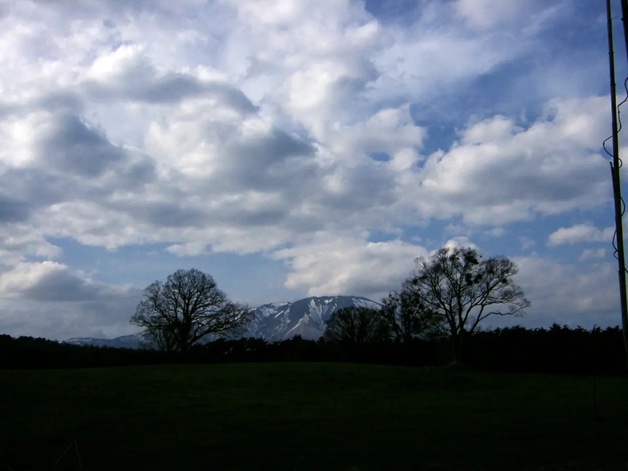 Explore the diverse flower-filled hay meadow in Somerset, home to unique plant species