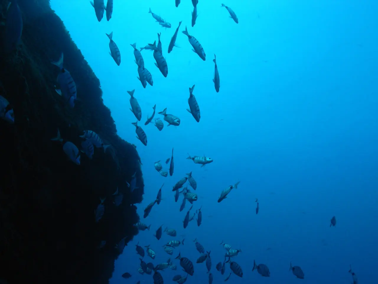 Incredible aquatic specimen is among the marvels of AlUla's barren landscapes