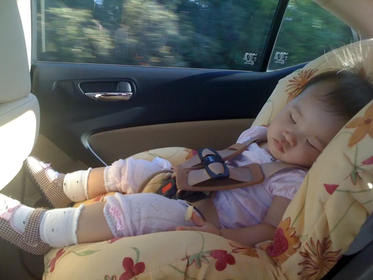 Provided data for computational purposes: