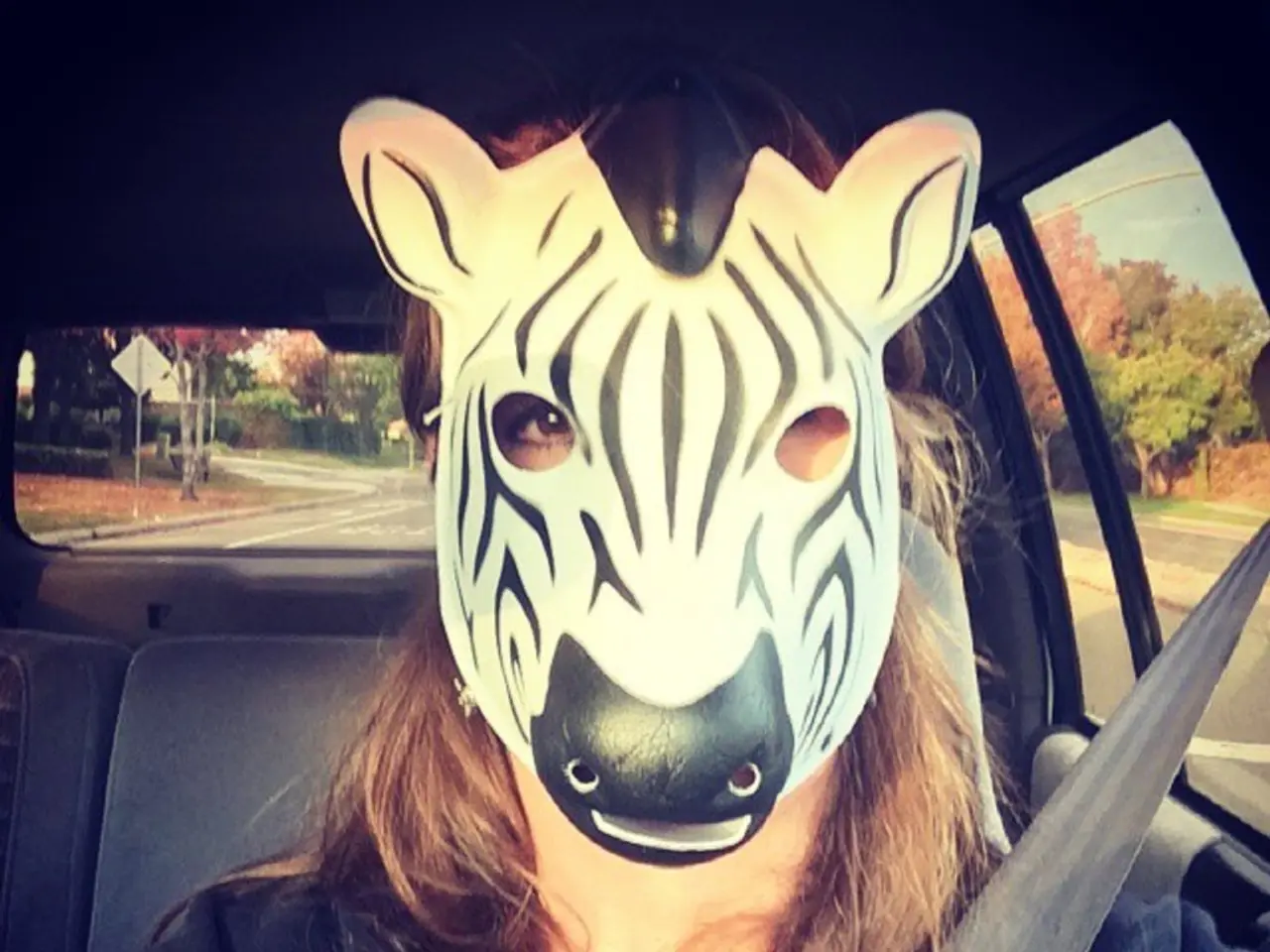 States have yet to respond to the Commission's inquiry.