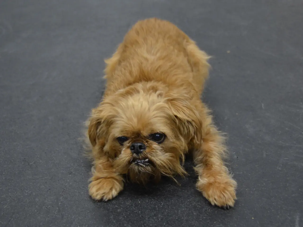 Law enforcement agencies are seeking individuals who may have observed an incident.