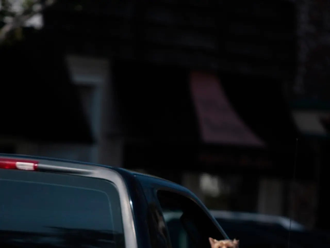 Fire Department at Bocholt rescues distressed animal: Authentic visuals display firefighters prying...