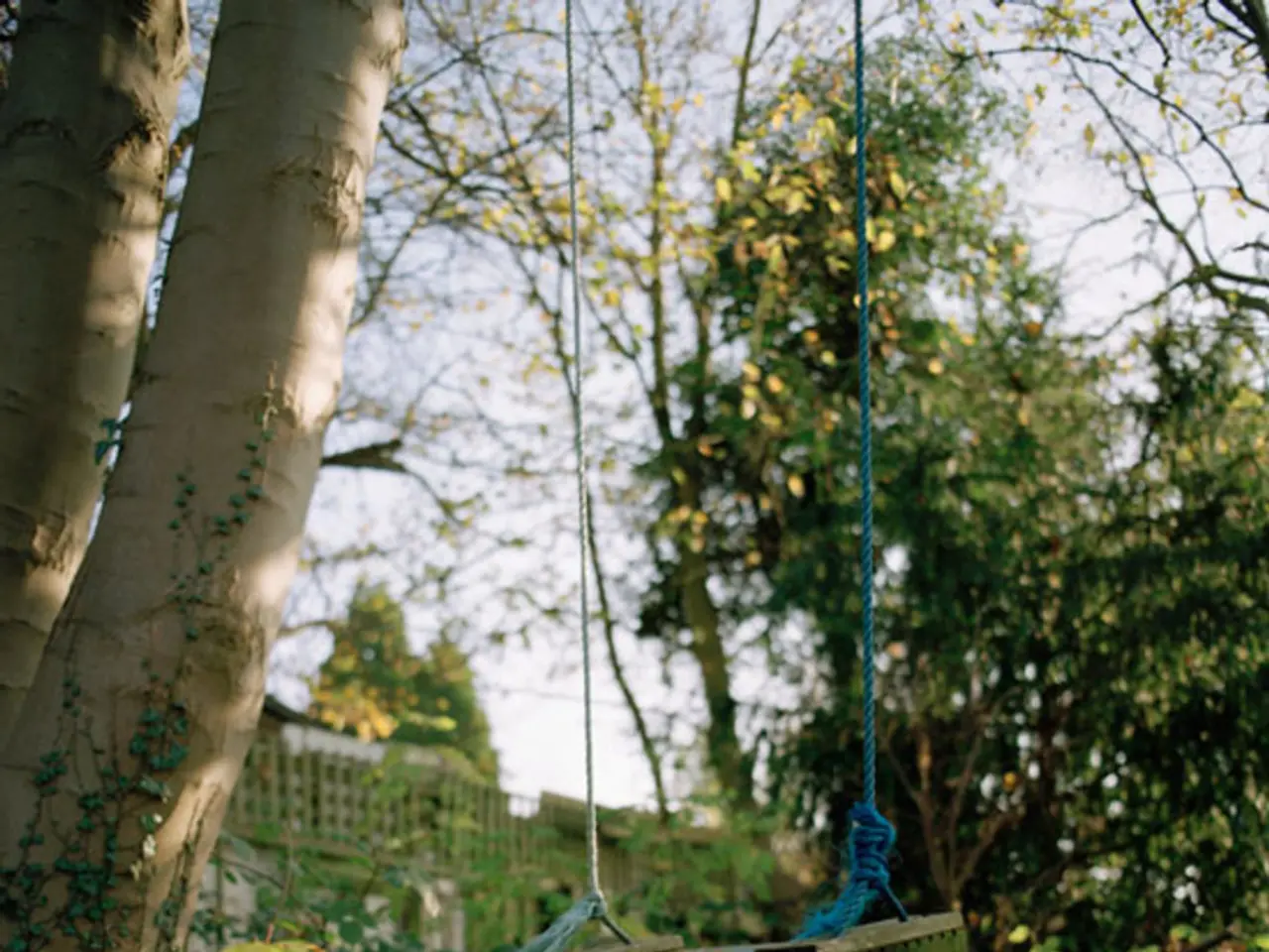 DIY Wooden Plant Holder Suitable for Any Home Decor