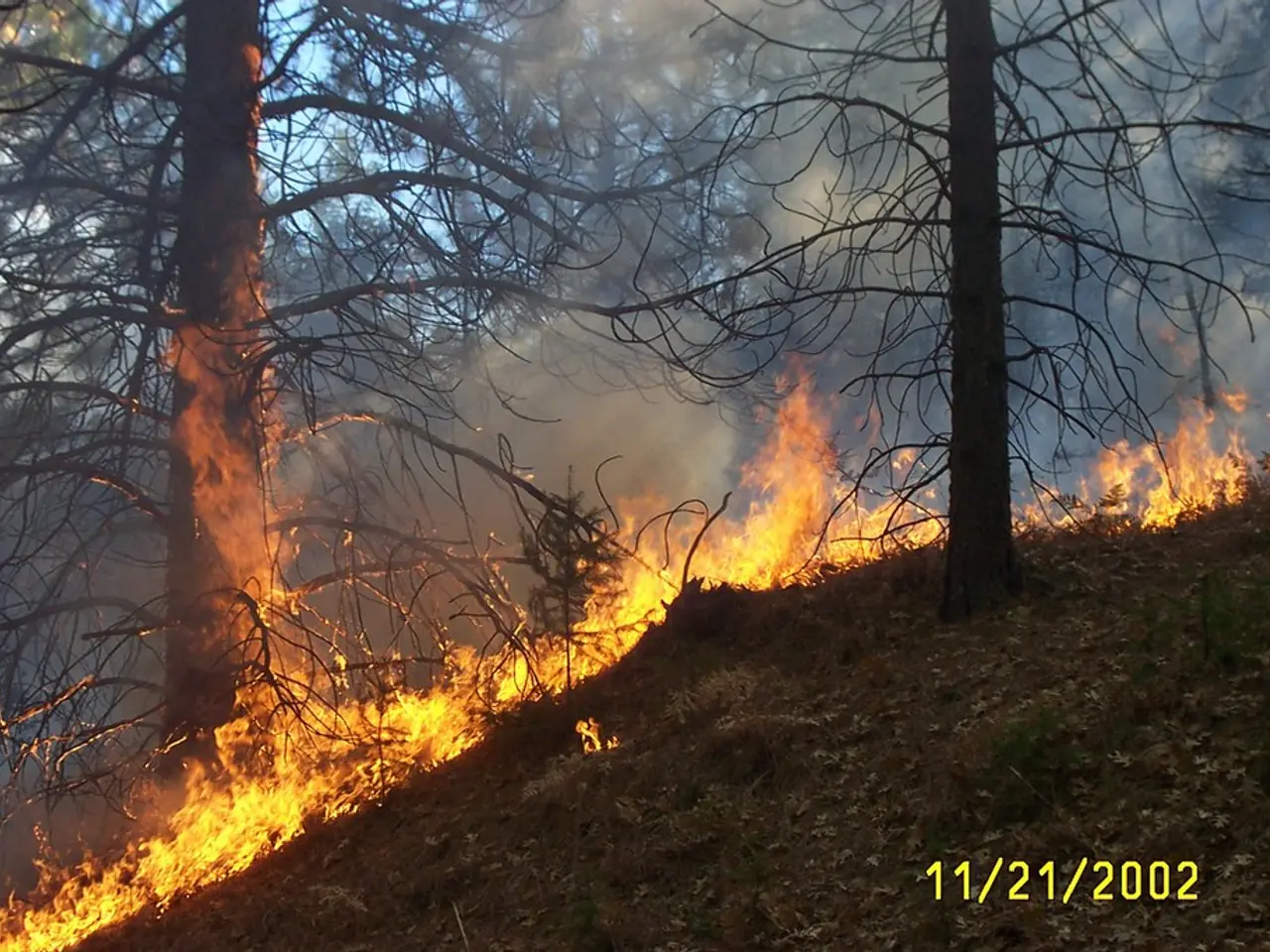 Forest fire control module GFFF-V DE1 has been successfully concluded in Spain under the...