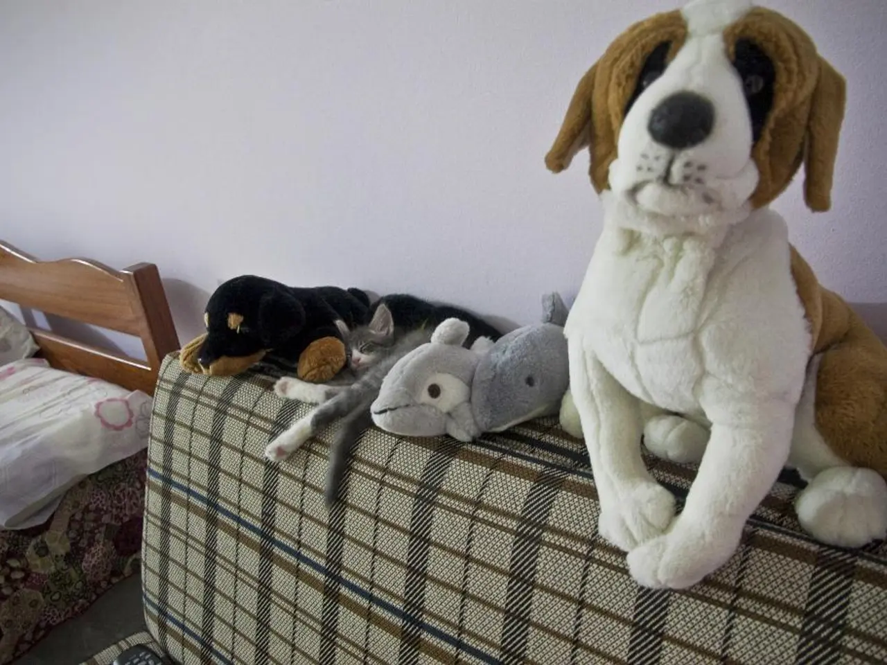 Behind Closed Doors: China's Vibrant Reception for Putin during His State Visit at Hotel