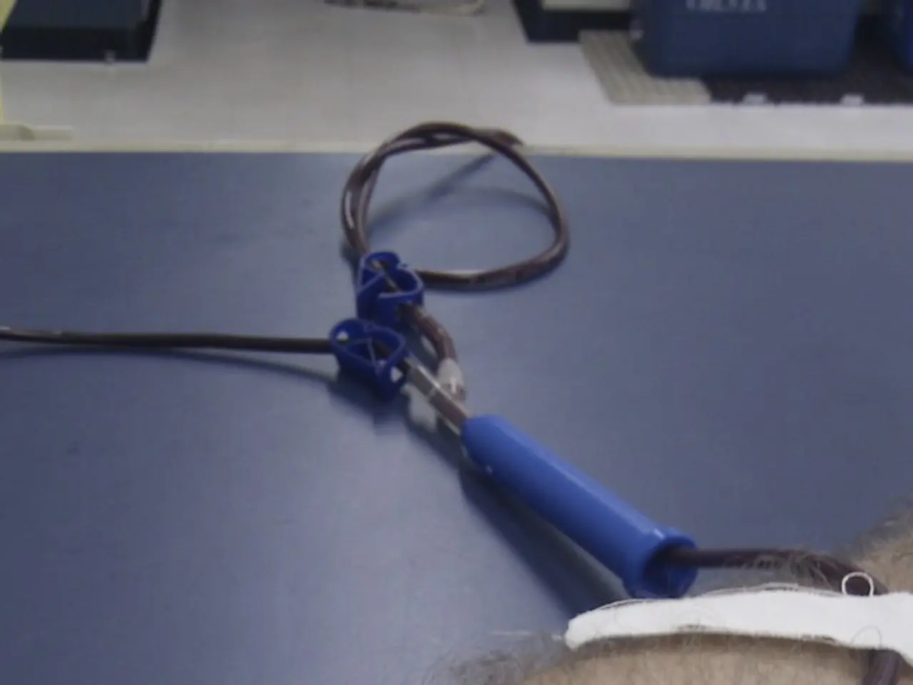 Increased Applications for Job Recognition in Saxony-Anhalt