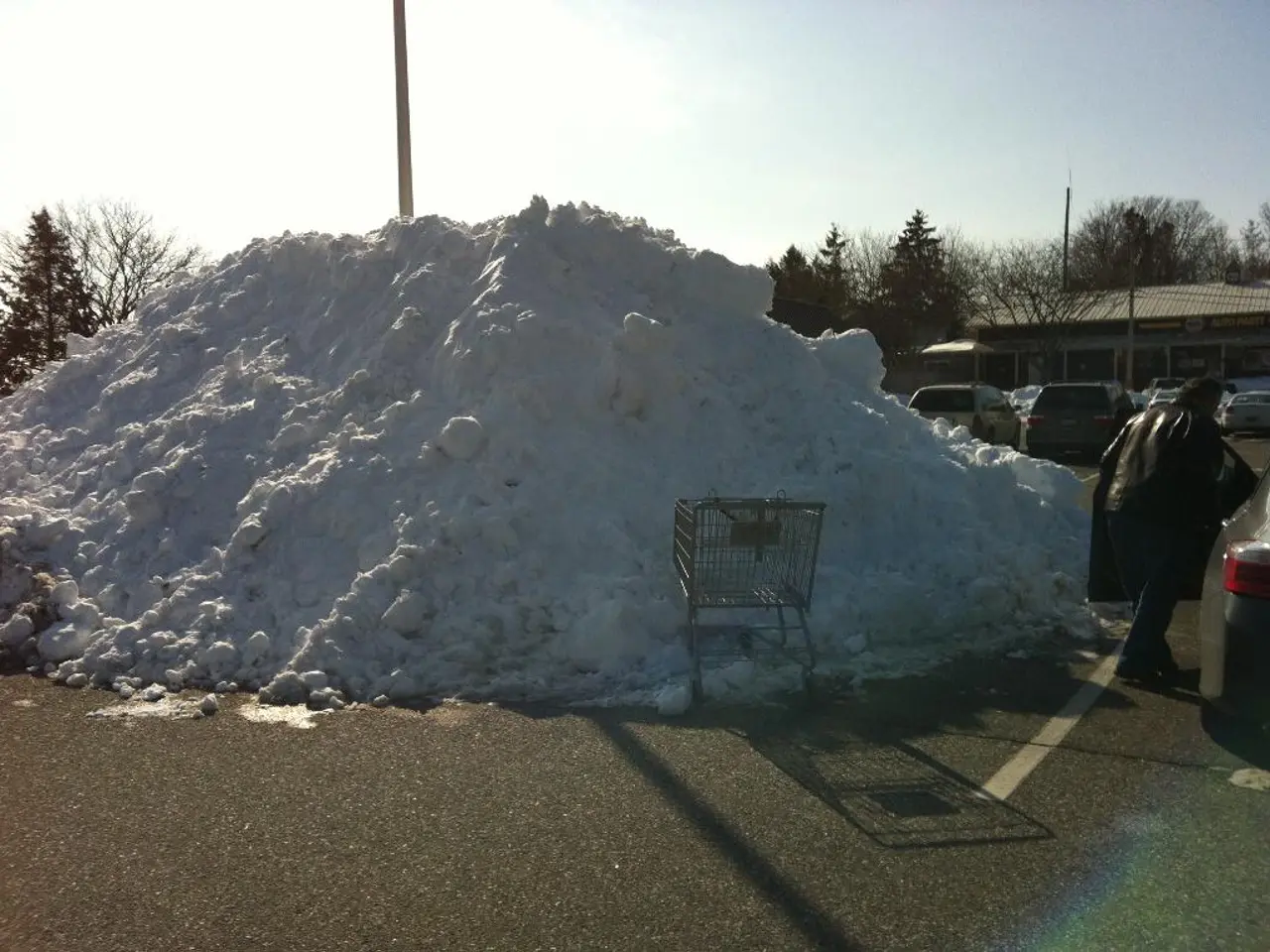 Midday update: Winter weather causes traffic disruption, prompting halt of school bus services in...