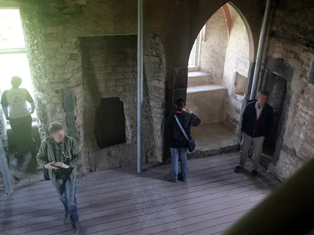 Loch Ness Creature: Sightings Captured on Camera