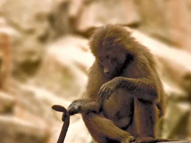 Player scores multiple significant wins totaling $1.8 million at Hard Rock Tampa in a single day of...