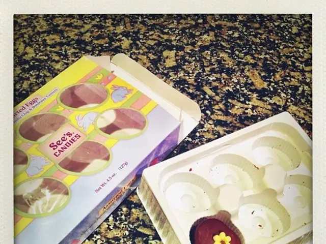 Zoo in Denmark Requests Pets as Food for Animals