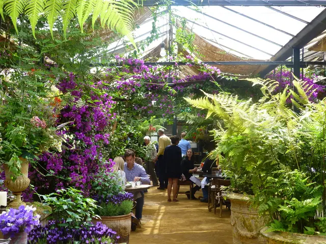 Dining Spaces Embracing Bonsai: Restaurants That Feature Bonsai Decor and Atmosphere