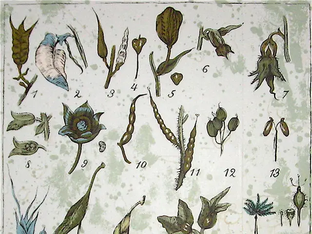 Enhancing Your Garden through 5 Simple Steps