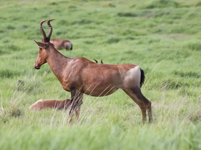 Parenting Information: Release Date, Episode Overview, and all the Disclosed Details